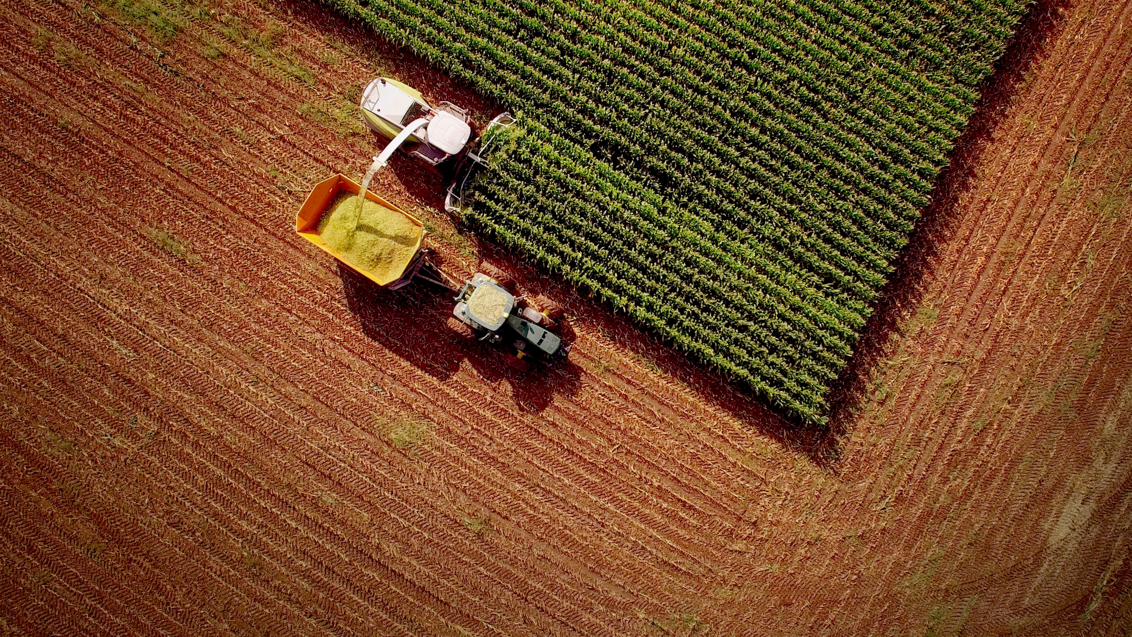 Máquina trabalhando em plantação
